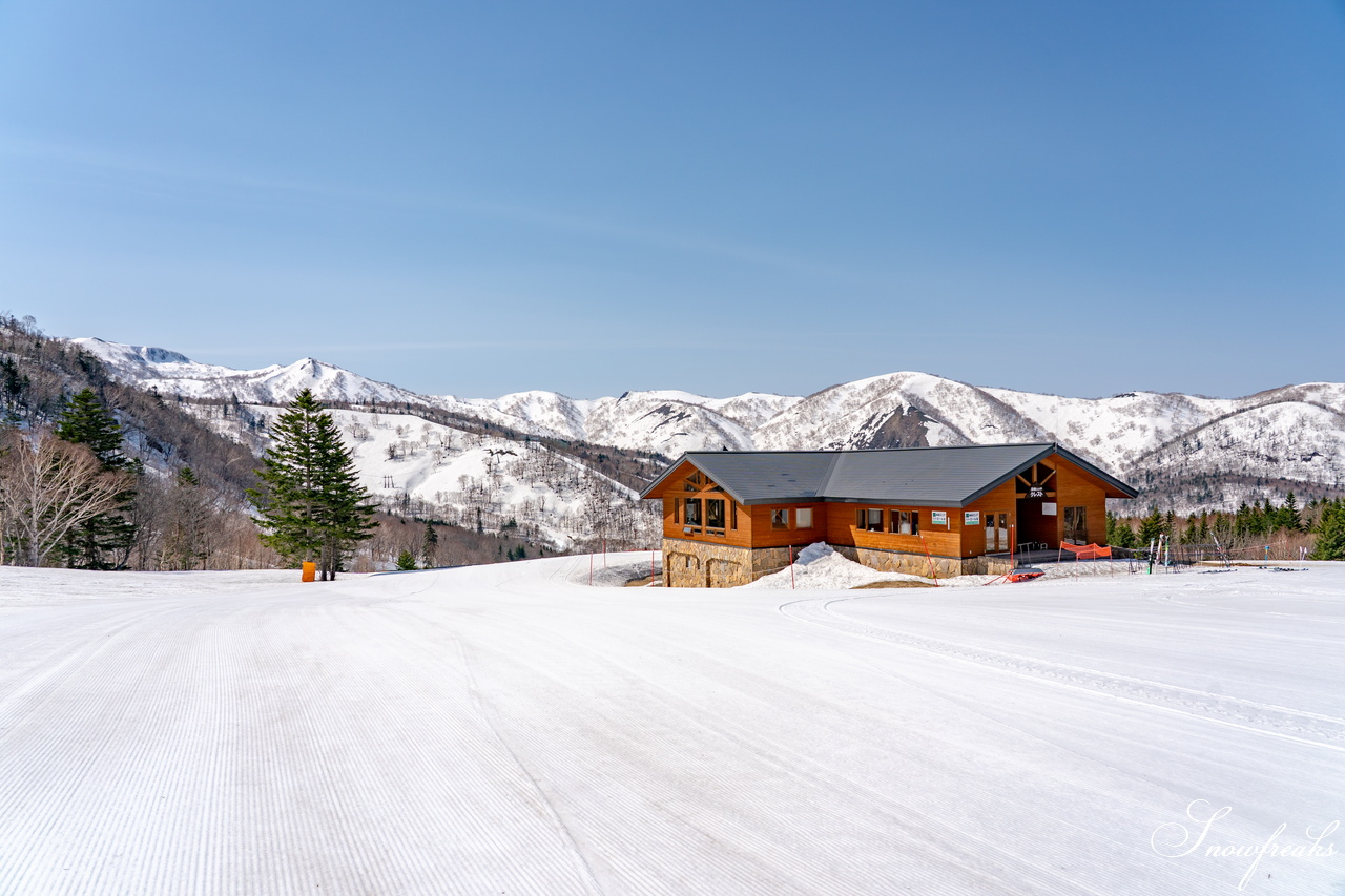 キロロリゾート｜ポカポカ陽気で絶好の春スキー日和♪こんな日は、みんなで思いっきり春雪を満喫しましょう！
